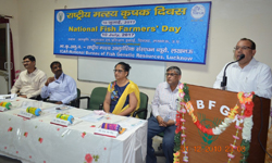 nfbgr-01-14072017.jpg