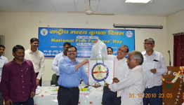 nfbgr-02-14072017.jpg