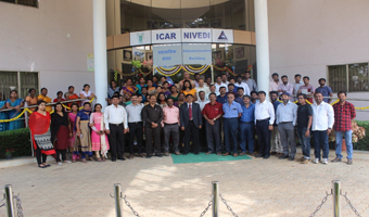 nivid-01-07072017.jpg