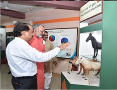 nrce-hisar-02-20082019