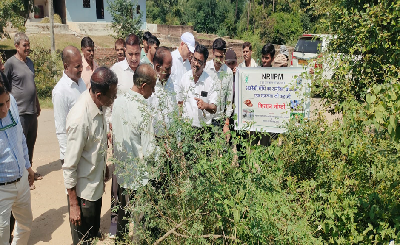 African Giant Snail Management Achieves 60–70% Reduction in Infestation in Udaipur