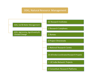 organogram-NRM-s