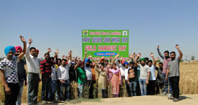 panjab-01-24042018
