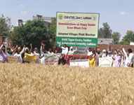 panjab-02-24042018