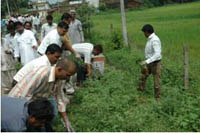 parthenium-awareness-week-06-09-2012-5
