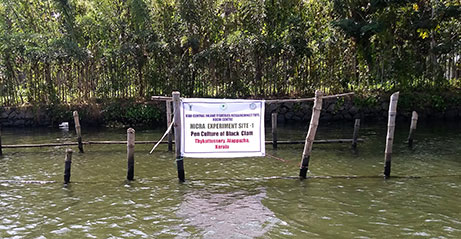 pen-culture-cifri-22-01-2091-1