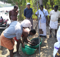 pen-culture-cifri-22-01-2091-4