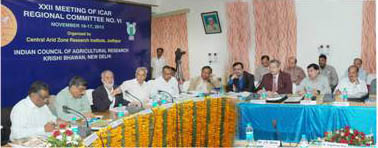 pic-01-21-11-2012