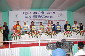 pigexpo-0230112016.jpg