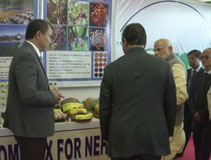 pmofindia-02-2017.jpg