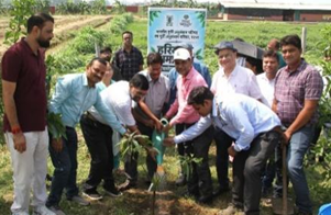 ICAR–RCER Patna organizes tree plantation drive on the occasion of ‘Hariyali Amavasya’