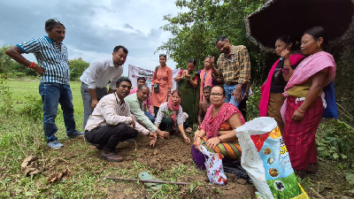ICAR-RCER Multitier Farming Technology Transforms Upland Agriculture in Tripura