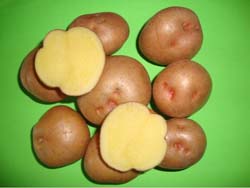 shilma-potato-30-09-2013-2