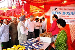 solan-02-12-09-2013