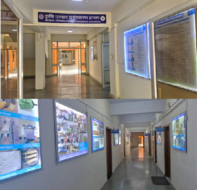Transforming Agro-Processing Through Innovation, Technology and Capacity Building: The Success Story of ICAR-CIAE, Bhopal