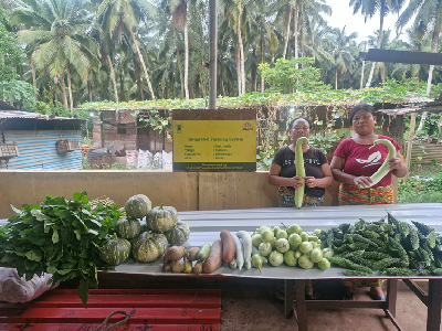 From Coconut-Centric Farming to Integrated Agriculture: A Car Nicobar Success Story