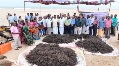 Maiden Seaweed Harvest in Puducherry Emerges as a Major Success under ICAR–CMFRI’s Guidance