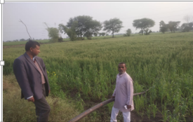 Farm Mechanization and Post-Harvest Technology Dissemination Driving Livelihood Support and Rural Economic Development under SCSP at ICAR-CIAE, Bhopal