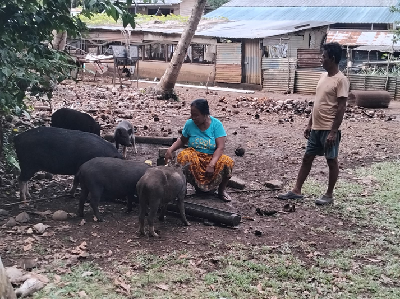 From Coconut-Centric Farming to Integrated Agriculture: A Car Nicobar Success Story