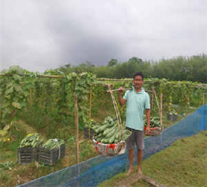 Nabanidhi Gogoi: Transforming Integrated Farming into a Profitable Rural Enterprise in Assam