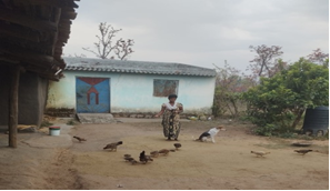 KVK, Gumla Empowers Tribal Woman Farmer to Build a Poultry Enterprise, Earns ₹2.23 Lakh Annually