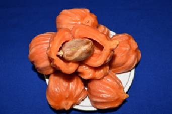 Linking Jackfruit Biodiversity with Livelihood Security: A Self-Sustaining Farmer-Led Success Story