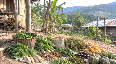 Rooted in Nature, Rising with Resilience: A Farmer’s Journey Towards Natural Farming in Nagaland