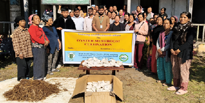 From Jhum to Mushroom: How Oyster Mushroom Farming is Transforming Livelihoods in Longleng