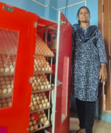 From Subsistence Farming to a Sustainable Enterprise: Mrs. Rajeshwari’s Rural Poultry Success Story in the Andaman Islands