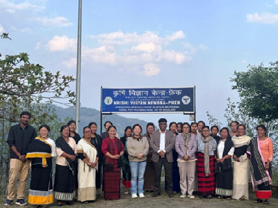 Sowing Tradition, Reaping Resilience: The Women-Led Seed Bank of Chizami, Phek, Nagaland