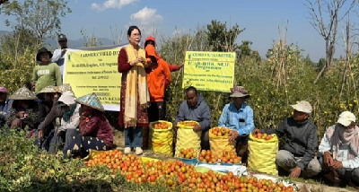 From Frost to Fortune: Arka Abhed Brings New Promise to Rabi Tomato Cultivation in Manipur