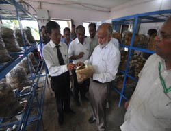 tripura-07-08-2013-2