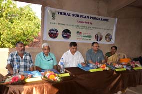 tspkhola0415-4.jpg