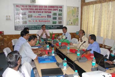 ttripura-01-07102014.jpg