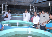 vizhinjam-RC-CMFRI-1.png