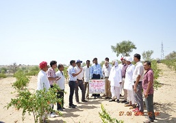 zmc-01-03102018.jpg
