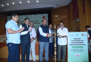 National Consultation on the Sustainable Sugarcane Economy
