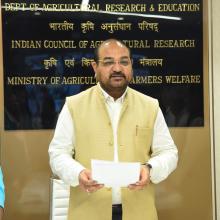 Rashtriya Ekta Diwas (National Unity Day)